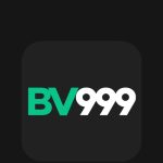 bv 999 game