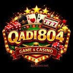 QADI804 GAME